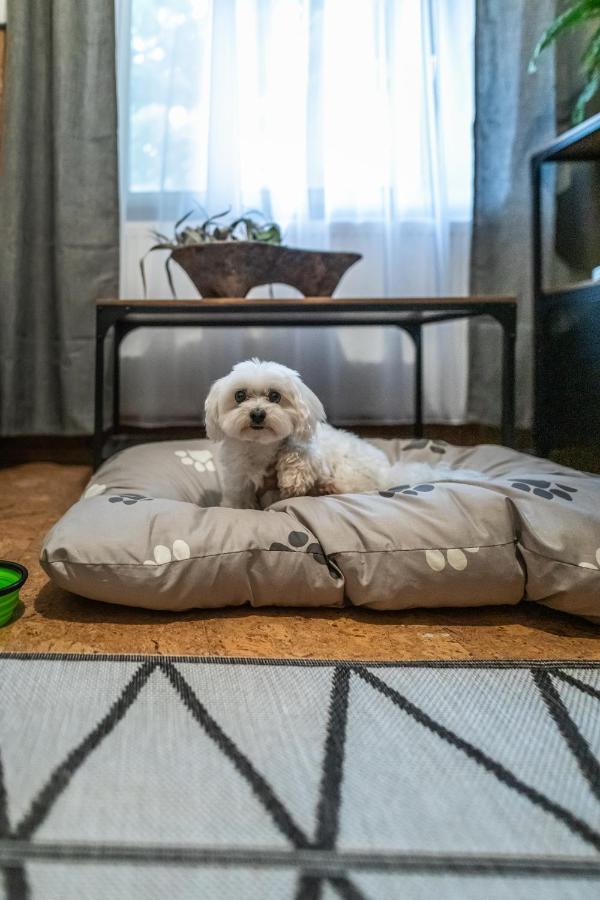 4 Evszak Voelgyhotel マトラフューレッド エクステリア 写真